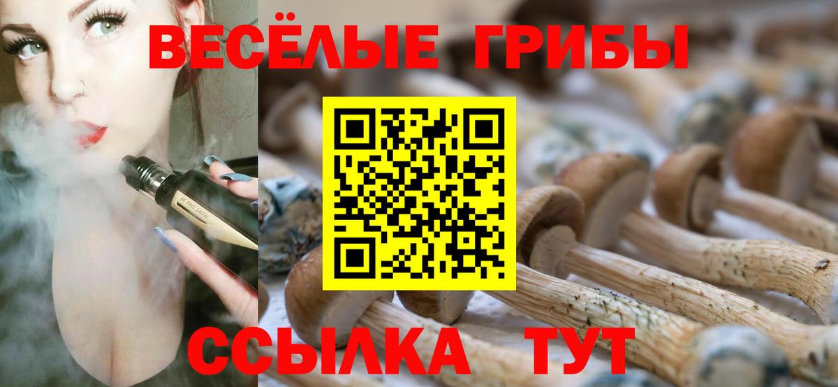 Галлюциногенные грибы прущие грибы Верхняя Салда